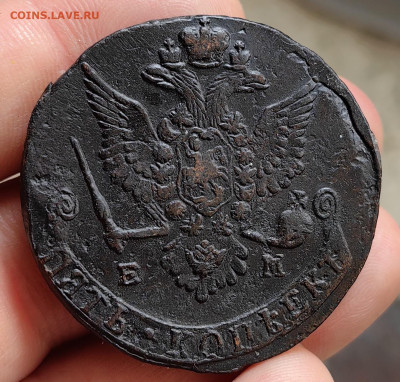 5 копеек 1779 ЕМ до 22.12.25 г. до 22-00 МСК - IMG_20251219_104708