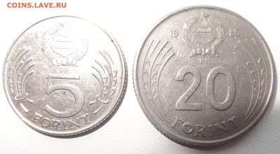 5 и 20 форинтов Венгрия до 23.12. в 22:00мск. - DSC02567.JPG