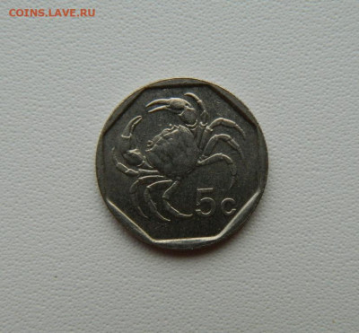 Мальта 5 центов 2001 г. (Фауна) С рубля! до 23.12.25 - DSCN0078.JPG