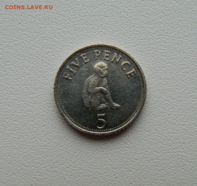 Гибралтар 5 пенсов 2005 г. (Фауна) С рубля! до 23.12.25 - DSCN0100.JPG