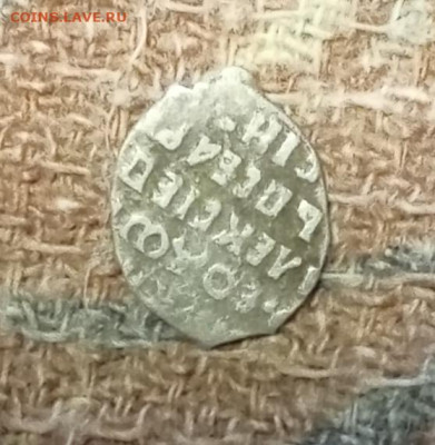 Чешуя определение - IMG_20251220_202359