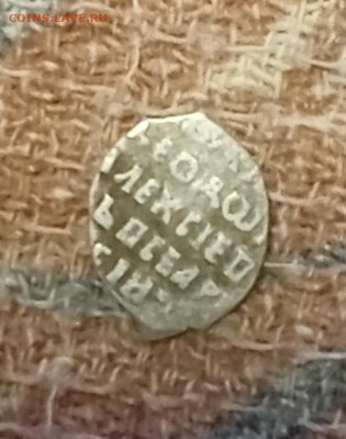 Чешуя определение - IMG_20251220_202339