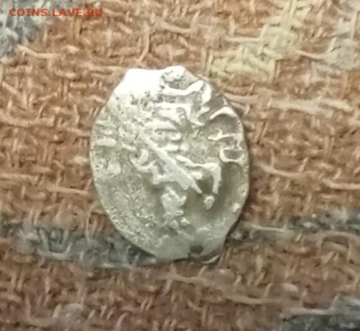 Чешуя определение - IMG_20251220_202312