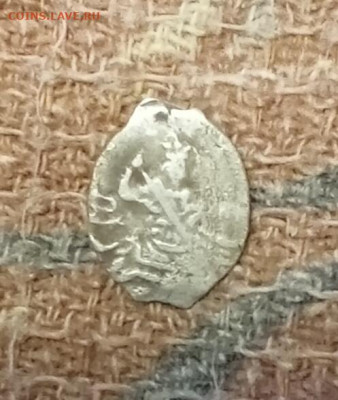 Чешуя определение - IMG_20251220_202247