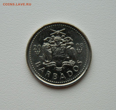 Барбадос 25 центов 2008 г. С рубля! до 24.12.25 - DSCN0020.JPG