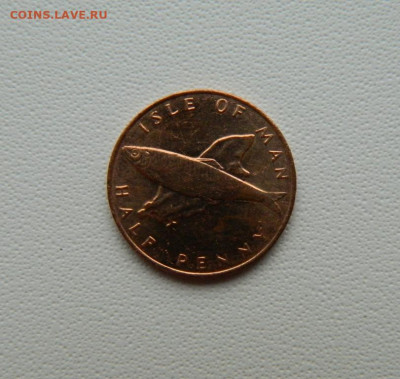 2 пенни 1976 г (Фауна) С рубля! до 24.12.25 - DSCN0113.JPG