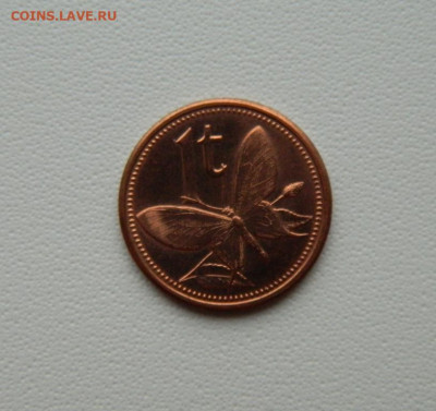 Папуа-Новая Гвинея 1 тойя 2004 г.(Фауна) С рубля!до 24.12.25 - DSCN9875.JPG