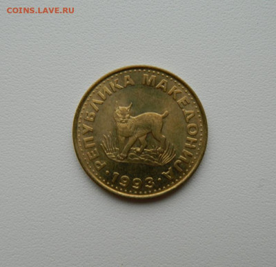 Македония 5 динар 1993 г. (Фауна) С рубля! до 24.12.25 - DSCN9943.JPG