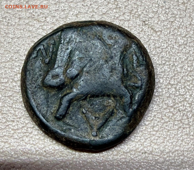 2 античные монеты . - IMG_8621