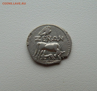 Иллирия?! - DSCN0184.JPG