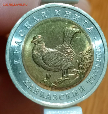 50 рублей Красная Книга тетерев - 1766407328869