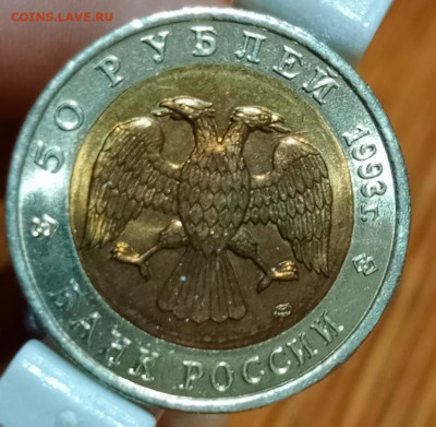 50 рублей красная книга афалина - 1766407943052