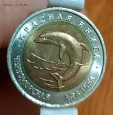 50 рублей красная книга афалина - 1766407812132