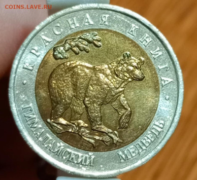 Красная книга гималайский медведь - 1766408694704