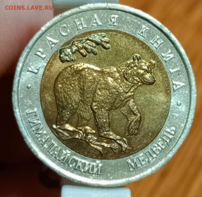 Красная книга гималайский медведь - 1766408660472