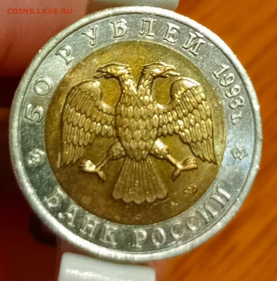 Красная книга гималайский медведь - 1766408483461