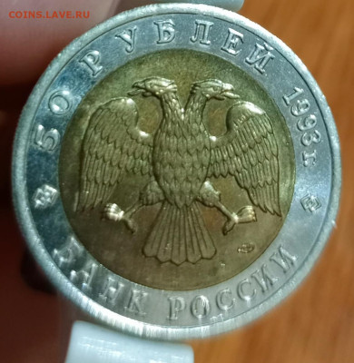 Красная книга гималайский медведь - 1766408315915