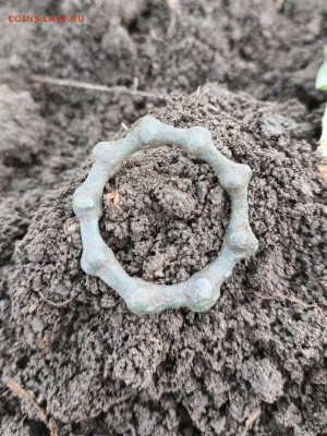 Помощь в определении - Screenshot_20251222-155713 (1)