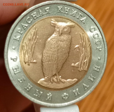 Красная книга рыбный филин - 1766408967618