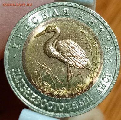 Красная книга дальневосточный аист - 1766410482378