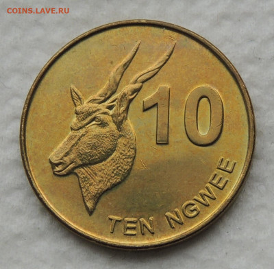 Замбия 10 нгве 2012 до 28.12.2025 - Замбия 10 нгве 2012.JPG