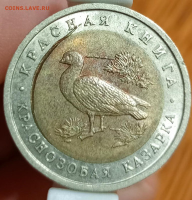 Красная книга краснозобая казарка - 1766410818692