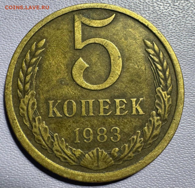5 копеек 1983 шт.3.1 и шт.3.2? - photo_2025-12-22_20-38-23