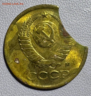 1 копейка 1991м выкус, раскол 2 монеты - photo_2025-12-22_21-08-34