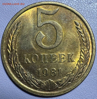5 копеек 1981 без обращения до 25.12.25 в 22.00 по Мск - photo_2025-12-22_22-09-25