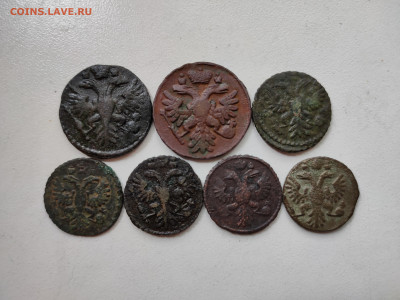 Денга 1731, 1738; полушка 1731 (3), 1734, 1735 - 29