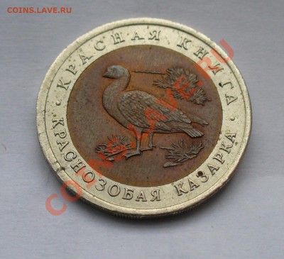 10 рублей 1992 года! Краснозобая казарка оценка - P1120677.JPG