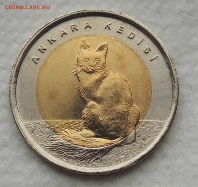 Турция 1 лира 2015 Кошка Ankara kedisi до 28.12.2025 - 1 лира - Ankara kedisi .JPG