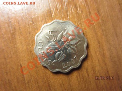 СВАЗИЛЕНД  5 центов 2007. - IMG_2449