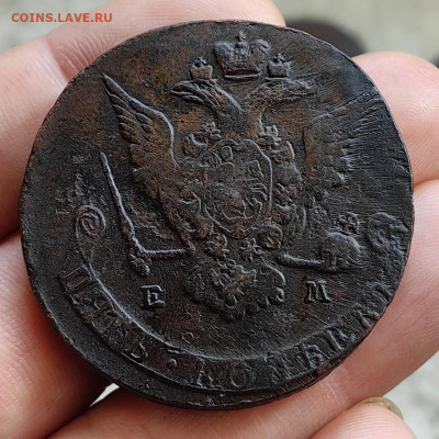 5 копеек 1770 ЕМ до 27.12.25 г. до 22-00 МСК - IMG_20251223_131139