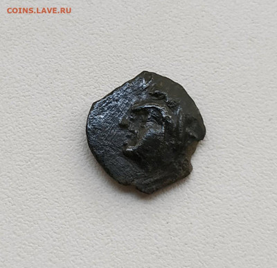 Пантикапей, обол. до 27.12.2025. 22.00мск. - 347576156.2