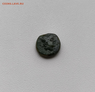 Пантикапей, обол. до 27.12.2025. 22.00мск. - IMG_20251224_150631