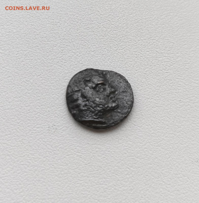 Пантикапей, дихалк. до 27.12.2025. 22.00мск. - IMG_20251224_150650