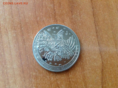 Беларусь, рубль 2009г. - IMG_7636[1].JPG