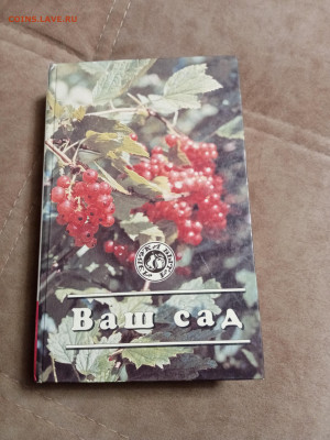 Новая распродажа книг 36 по 25р до 30.12.25 в 22:00 по мск - IMG_20251225_174034