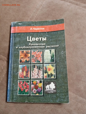 Новая распродажа книг 37 по 25р до 31.12.25 в 22:00 по мск - IMG_20251225_181445