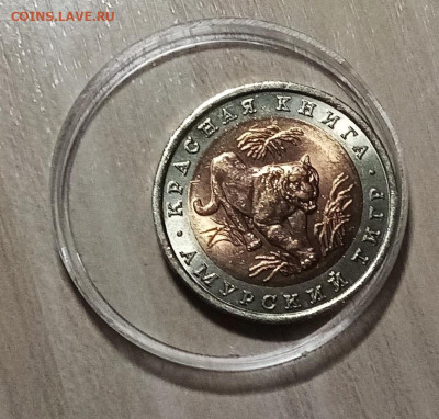 К.К. 10 руб 1992 г АМУРСКИЙ ТИГР с 200 до 29.12 - тигр1