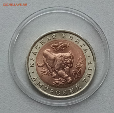 К.К. 10 руб 1992 г АМУРСКИЙ ТИГР с 200 до 29.12 - т1