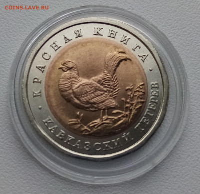 К.К. 50 руб 1993 г ( комплект-5 монет) до 29.12 - т1