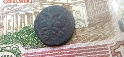 полушка 1731 г. до 30.12.2025г. до 22.00. - 2025-12-27-10-22-29