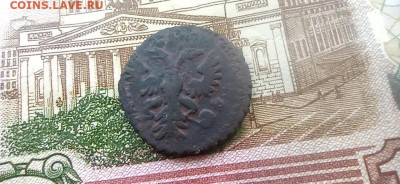 полушка 1731 г. до 30.12.2025г. до 22.00. - 2025-12-27-10-22-36