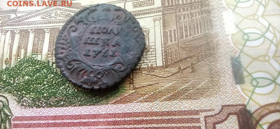 полушка 1731 г. до 30.12.2025г. до 22.00. - 2025-12-27-10-23-14