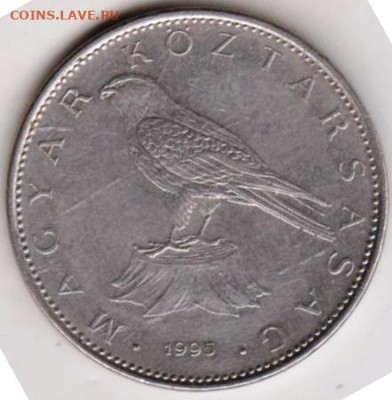 26 г в 23.00 - 002