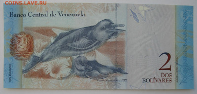 2 боливара Венесуэла 2007 г. Фикс. До 29.12.25 - IMG_3935.JPG