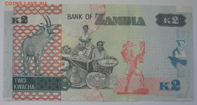 2 квачи Замбия 2012 г. Фикс. До 29.12.25 - IMG_3931.JPG