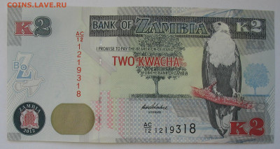 2 квачи Замбия 2012 г. Фикс. До 29.12.25 - IMG_3927.JPG